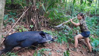 Wild boar has been caught in a trap skills for setting wild boar traps survival alone [upl. by Rothberg]