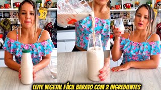 Leite Vegetal Fácil Barato com 2 Ingredientes [upl. by Lia]