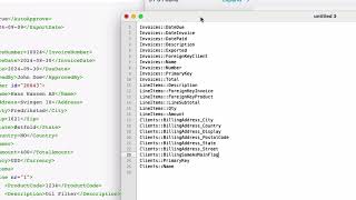 FileMaker XML export invoices to a financial system edited [upl. by Nanci]