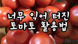 너무 익어서 터진 토마토로 퓨레 만들기 [upl. by Johns]