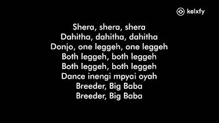 Breeder LW ft Zendiambo  Dance Mpyai Both Lege lyrics [upl. by Ravo655]