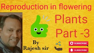 biovedics Reproduction in flowering plant part 3 for Neet and board exams [upl. by Alleusnoc]