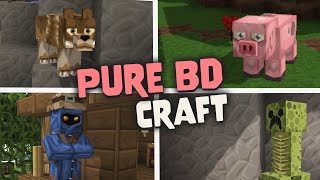 Pure Bd Craft Texture Pack for Minecraft 119  Java amp Bedrock [upl. by Ociredef]