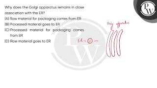 Why the Golgi apparatus remains in close association with the ER [upl. by Nylssej]