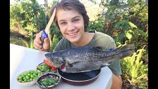 Australian BASS  Catch n Cook [upl. by Swane153]