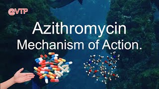 Azithromycin Mechanism of Action [upl. by Toma]