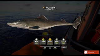 Russian Fishing 4  Trophy Spiny Dogfish  7172kg [upl. by Eciral]