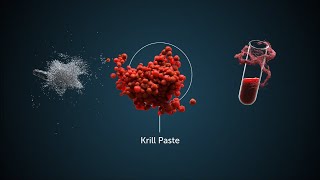 A unique patented technology in krill harvesting [upl. by Yellek]