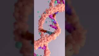 La réplication de l’ADN  science biologie charmleguide adn cellule replication charmane [upl. by Radborne]