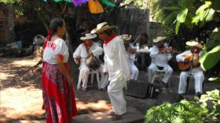 CANCIÓN MI HUETAMO MICHOACÁN CANTA MISAEL IBARRA [upl. by Sallie]