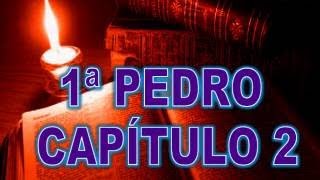 1ra de Pedro Biblia Hablada Dramatizada RV Completo [upl. by Alleb]