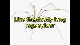 Do the daddy long legs lyrics The OG Wiggles [upl. by Hamid]