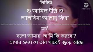 jannil jannil arabic song  বাংলা অর্থ  বাংলা লিরিক্স [upl. by Soinotna785]