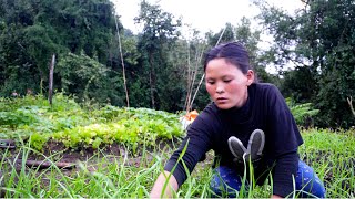 busy Rita i her farm house in the farm yard field  Life in rural Nepal lifeinruralnepal [upl. by Four735]