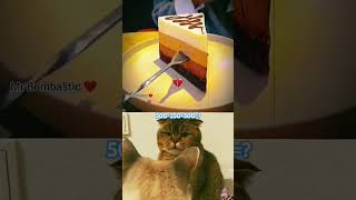 How to scam friends  bombastic cat cat memes funny мемы [upl. by Tatman]