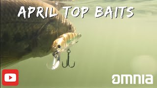 April Bass Fishing Bonanza Top Baits Revealed with Exclusive Underwater Footage [upl. by Eilyr]