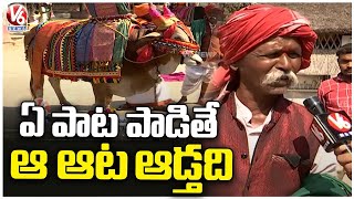 Bull Gangireddu Dancing To Cinema Songs  Sankranti Festival 2023  V6 News [upl. by Anitnemelc922]