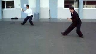 yang tai chi 24 movement short form [upl. by Naibaf]