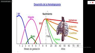 ACROMEGALIA  ENDOCRINOLOGÍA [upl. by Fonda]