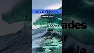 Dice Yemaya 🌊💙🤍 Yemaya yalorde orixa Mar oceano santeria yoruba tusanteriaonline [upl. by Lajib962]