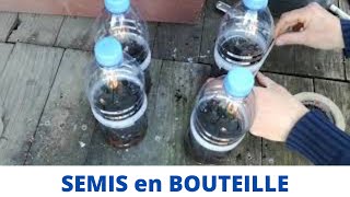 Semis de tomates et courgettes en BOUTEILLE [upl. by Asiak445]