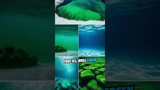 Color Of Underwater Iceberg shorts viral trending [upl. by Neo]