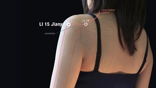 LARGE INTESTINE 15 JIANYU SHOULDER JOINT [upl. by Gwennie]