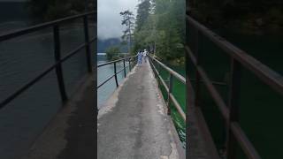 eibsee lake eibsee clearwater lakeclearwater latest zugspitze lake ytshort minivlog bridge [upl. by Giguere]