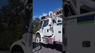 Hurricane Helene Billboard amp Tree Damage on I75 After 🌪️ HurricaneHelene Georgia [upl. by Kotto107]