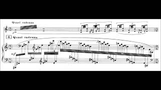 Maurice Ravel  Tzigane GotoDussek [upl. by Hedberg464]