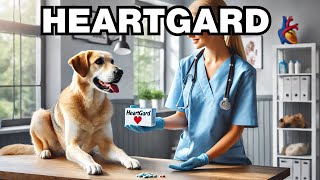 What Is Heartgard For Dogs Explained [upl. by Prissie]