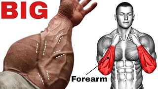 FOREARM WORKOUT  BIG ARMS WORKOUT AT HOME  कलाई मजबूत कैसे बनाएं [upl. by Enreval]