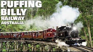 Puffing Billy Train  Iconic Australian Tourist Attraction [upl. by Euqirrne]