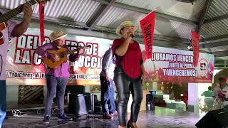 Panamá Torrente Mesano 🎤Estelita Castillo Bersalles Martínez 🎸Luis de Coclé Heredia Padre e Hijo [upl. by Capone]