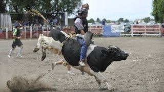 Bull Riding  Gisborne Rodeo 2013 [upl. by Ppilihp]