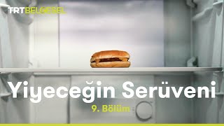 Yiyeceğin Serüveni  Dondurulmuş Gıdalar  TRT Belgesel [upl. by Nlycaj]