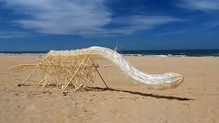 Strandbeests  New Living Species Found In The Netherlands [upl. by Waugh]