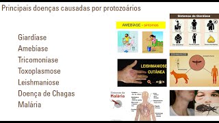 Aula 1  parte 1 Protozoários de importância médica [upl. by Ecinerev]