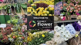 Sydneys Flemington Flower Market Where Flowers Meet Affordable Prices [upl. by Cyna]