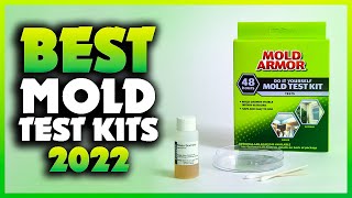 Top 5 Best Mold Test Kits You can Buy Right Now 2023 [upl. by Perseus916]