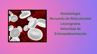 Hematología Recuento de reticulocitos Leucograma VES [upl. by Drusus]