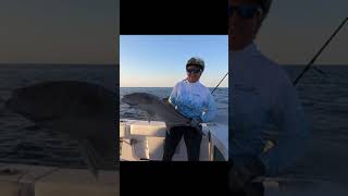 Leaderboard Almaco 194 Private over 26 ft fishing saltlife shimano destinfishingrodeo [upl. by Aelrac254]