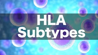 HLA Subtypes amp Associations [upl. by Refitsirhc]