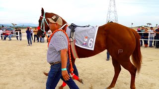 Final Futurity Zuazua Arena Downs 2022 [upl. by Lord720]