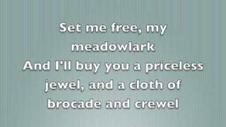 Meadowlark  The Bakers Wife Karaoke [upl. by Torray]