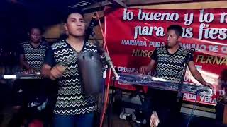 Marimba Orquesta Los Hermanos Fernandez En Vivo Saludos Amigos [upl. by Gney814]