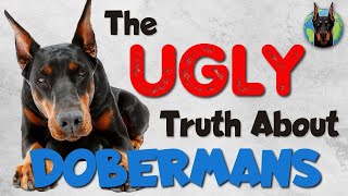 Doberman Ownership Exposed 5 Annoying Habits of These Dogs [upl. by Inaj]