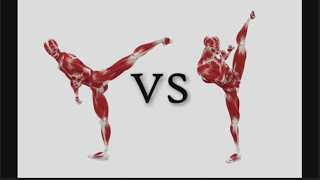 Side Kick Tutorial Anatomy Muscle Flexibility Strength Diagram Good vs Bad [upl. by Krute540]