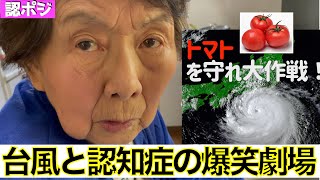 消えたトマトの謎、認知症おばあちゃんの怒りの矛先は誰に／認知症迫る台風に火事場の馬鹿力／自称ウケないギャグに婆すべり [upl. by Ramat]