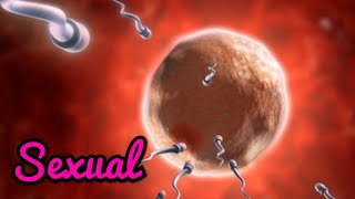 Sexual Reproduction in Tamil [upl. by Yenots813]